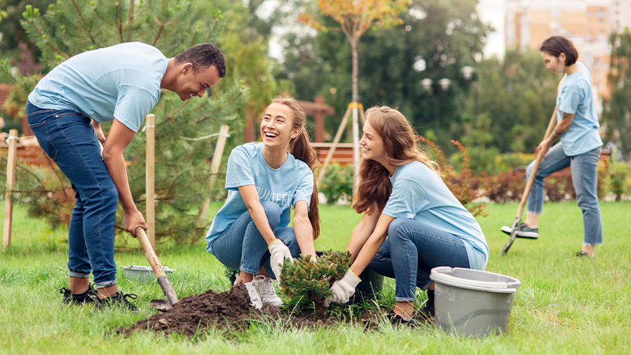 Group Of Volunteers Planting Trees