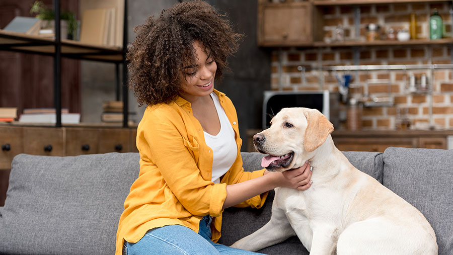 Woman petting her dog