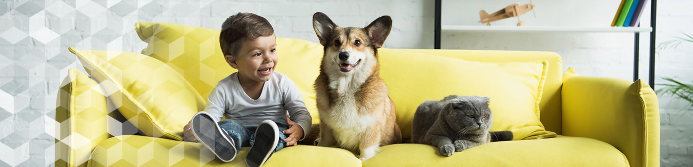 Young boy, dog, and cat sitting on couch.