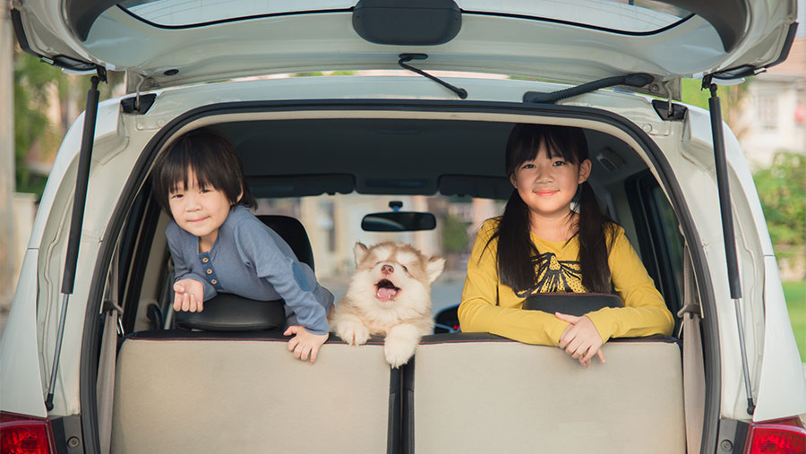 Children and dog in the backseat